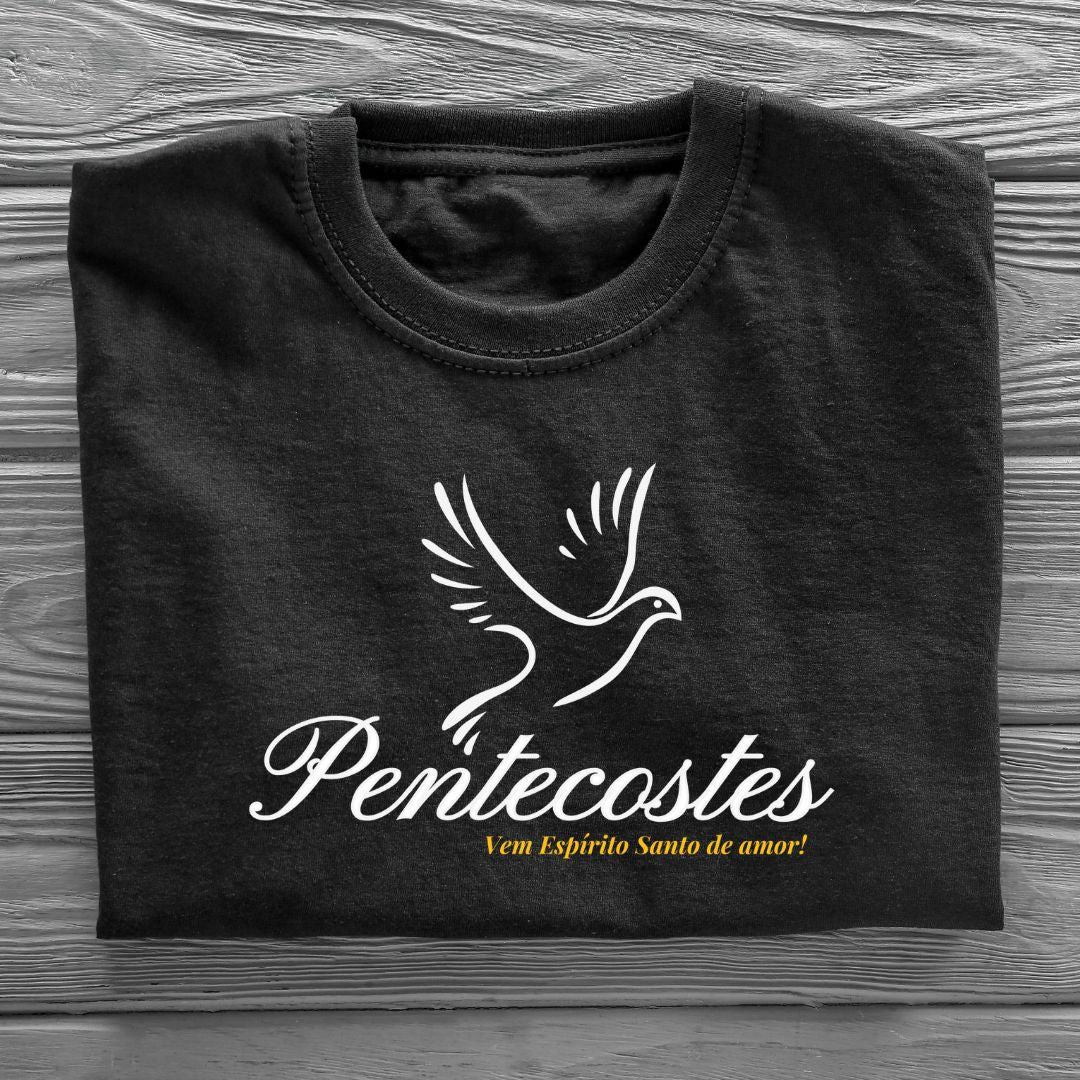 Camiseta Feminina Básica Espirito Santo REF 31