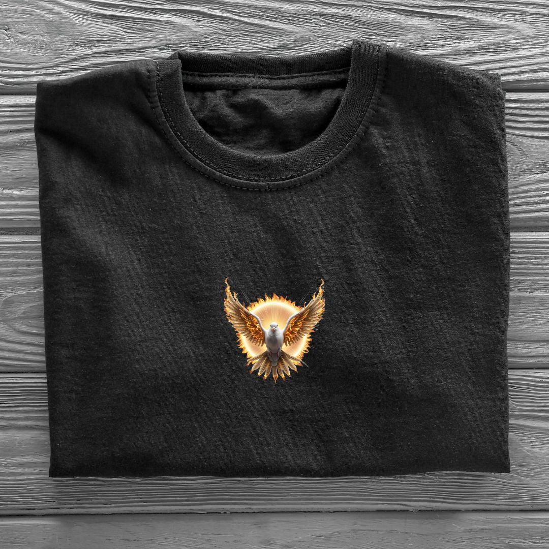 Camiseta Feminina Oversized Espirito Santo REF 25
