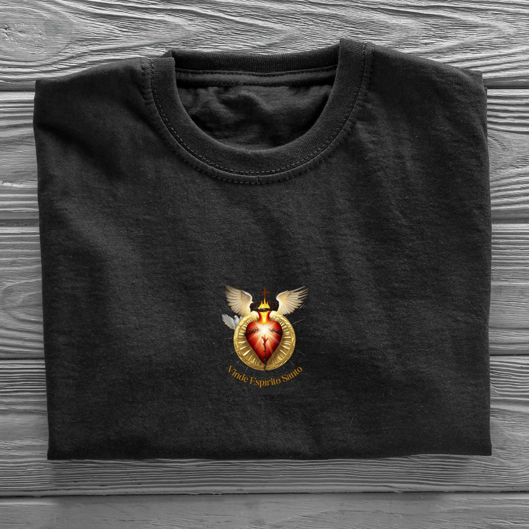 Camiseta Masculina Oversized Espirito Santo REF 20