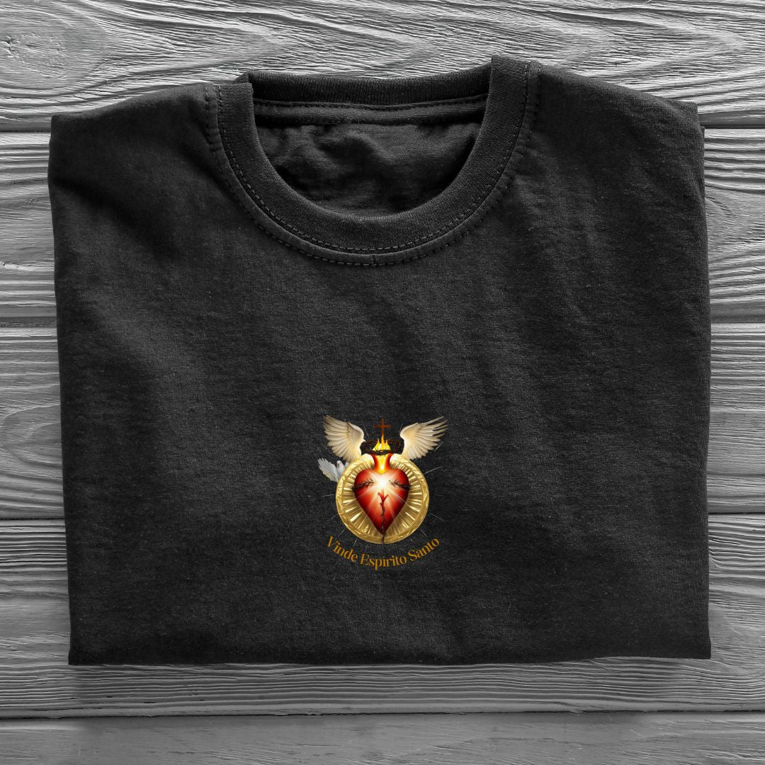 Camiseta Feminina Oversized Espirito Santo REF 20