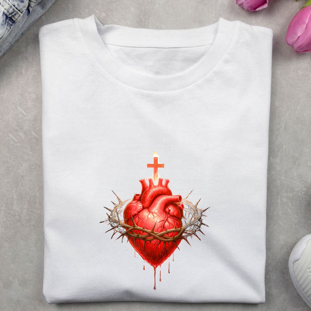 Camiseta Feminina Baby Look Espírito Santo REF 57