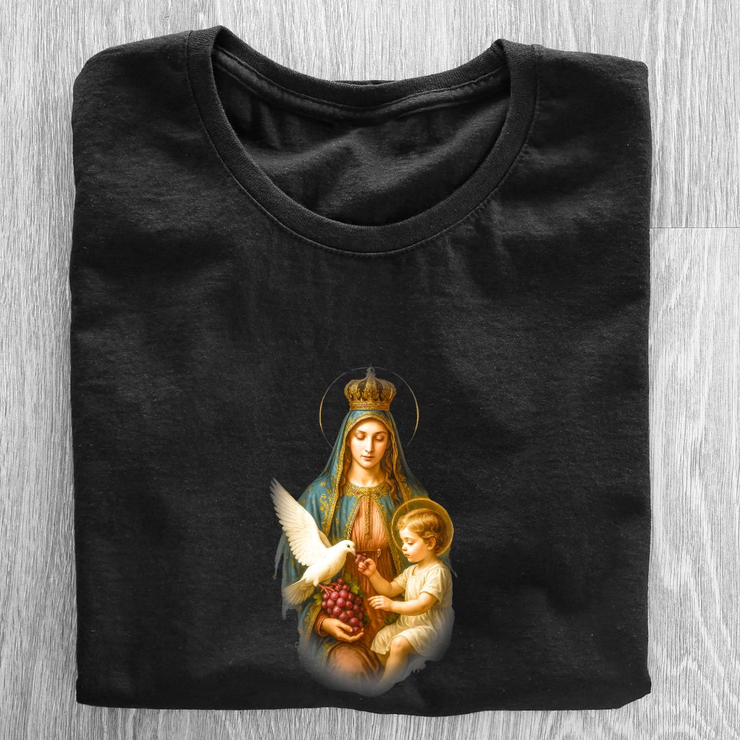 Camiseta Feminina Baby Look Espírito Santo REF 51