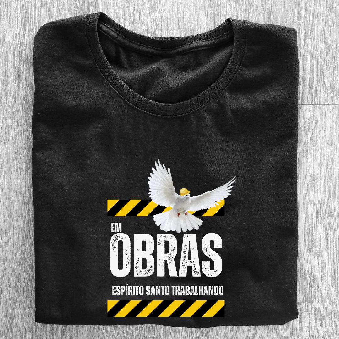 Camiseta Feminina Baby Look Espírito Santo REF 29