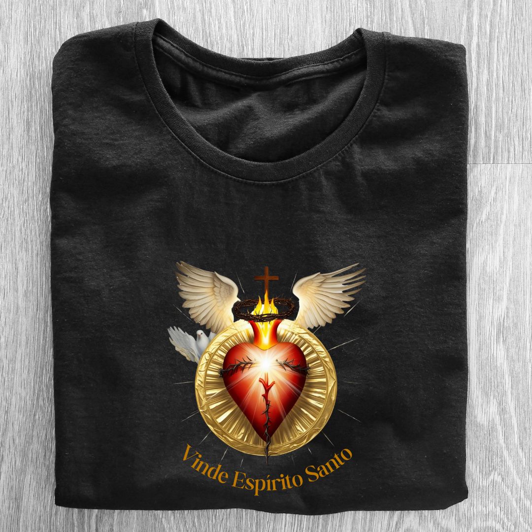 Camiseta Feminina Baby Look Espírito Santo REF 20