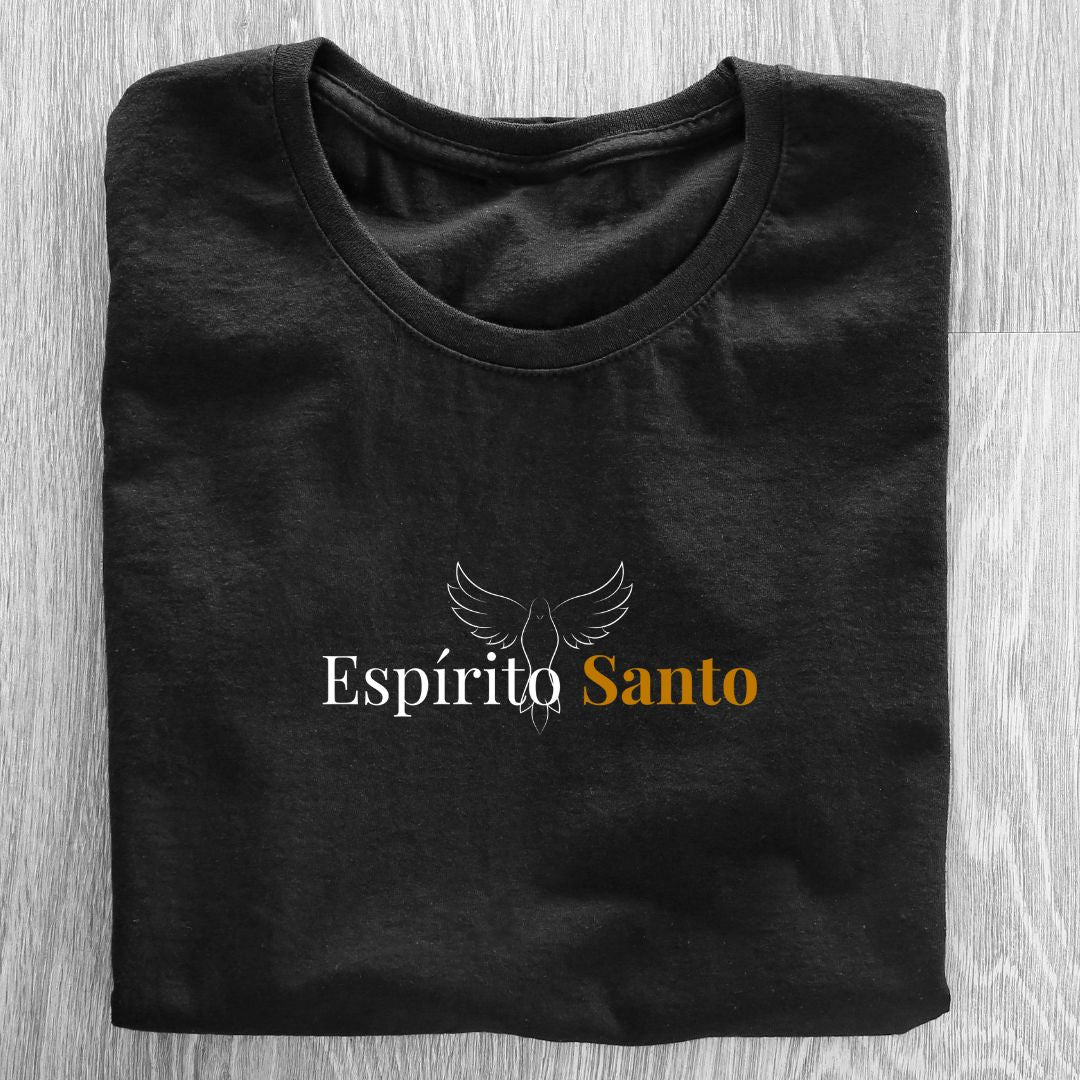 Camiseta Feminina Baby Look Espírito Santo REF 01