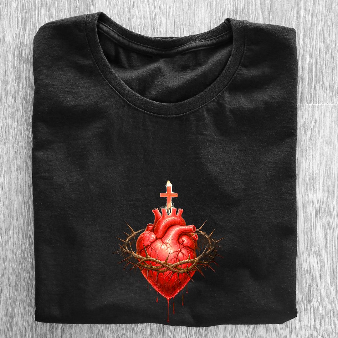Camiseta Feminina Baby Look Espírito Santo REF 57