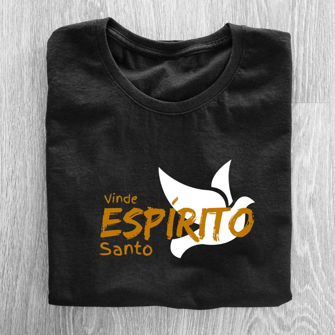 Camiseta Feminina Baby Look Espírito Santo REF 03