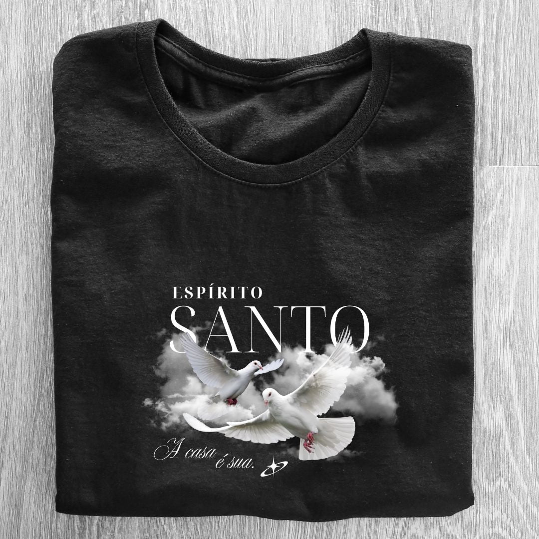 Camiseta Feminina Baby Look Espírito Santo REF 07