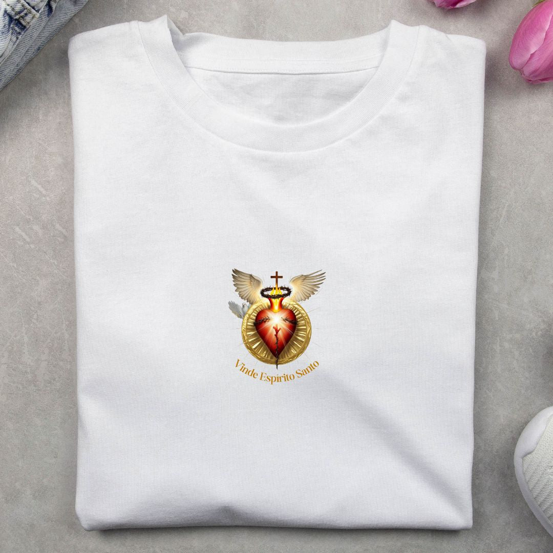 Camiseta Masculina Oversized Espirito Santo REF 20